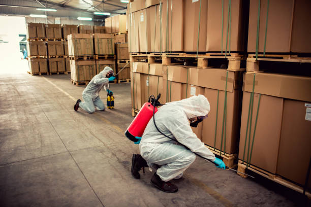 Best Local Pest Control Services  in View Park Windsor Hills, CA