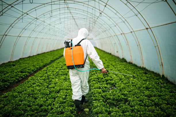 Best Affordable Pest Control Services  in View Park Windsor Hills, CA