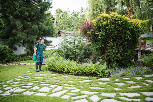Best Best Pest Control Companies  in View Park Windsor Hills, CA