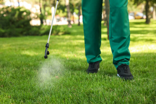 Best Best Pest Control Companies  in View Park Windsor Hills, CA